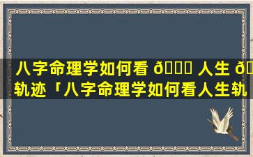 八字命理学如何看 💐 人生 🦍 轨迹「八字命理学如何看人生轨迹图解」